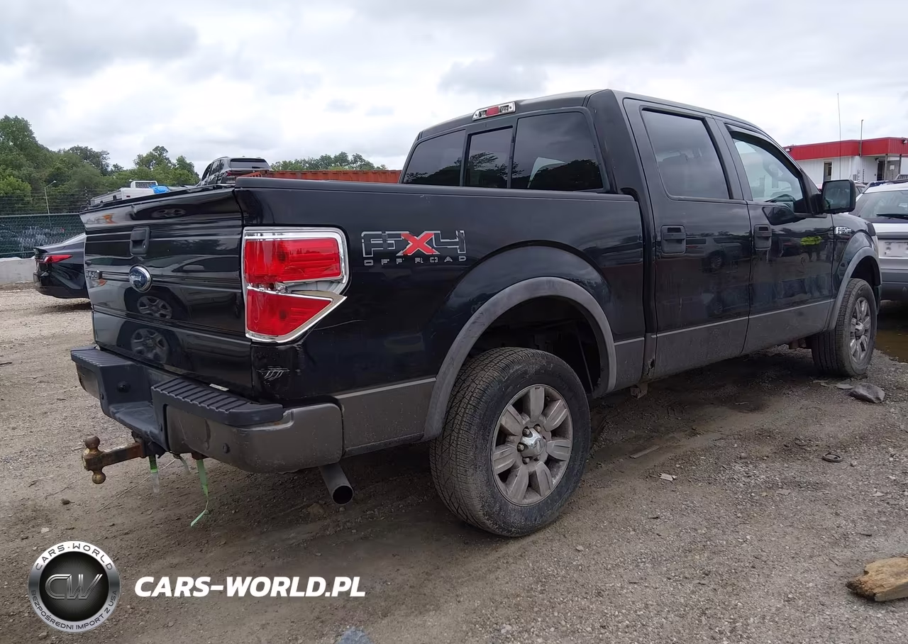 2009 Ford F-150 Fx4-King Ranch-Lariat-Platinum-Xl-Xlt VIN:1FTPW14V69FA42515 - 17