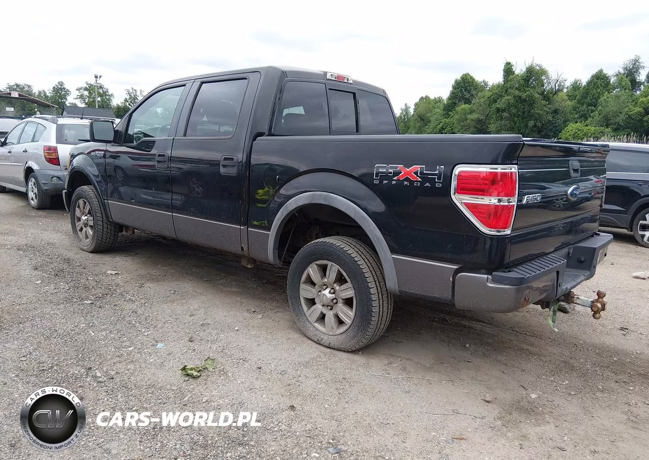 2009 Ford F-150 Fx4-King Ranch-Lariat-Platinum-Xl-Xlt VIN:1FTPW14V69FA42515 - 3