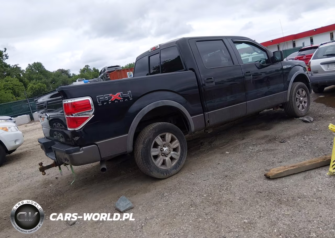 2009 Ford F-150 Fx4-King Ranch-Lariat-Platinum-Xl-Xlt VIN:1FTPW14V69FA42515 - 4
