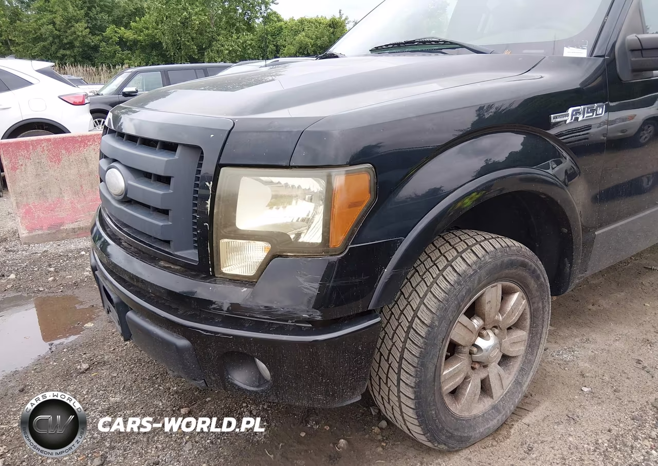 2009 Ford F-150 Fx4-King Ranch-Lariat-Platinum-Xl-Xlt VIN:1FTPW14V69FA42515 - 6