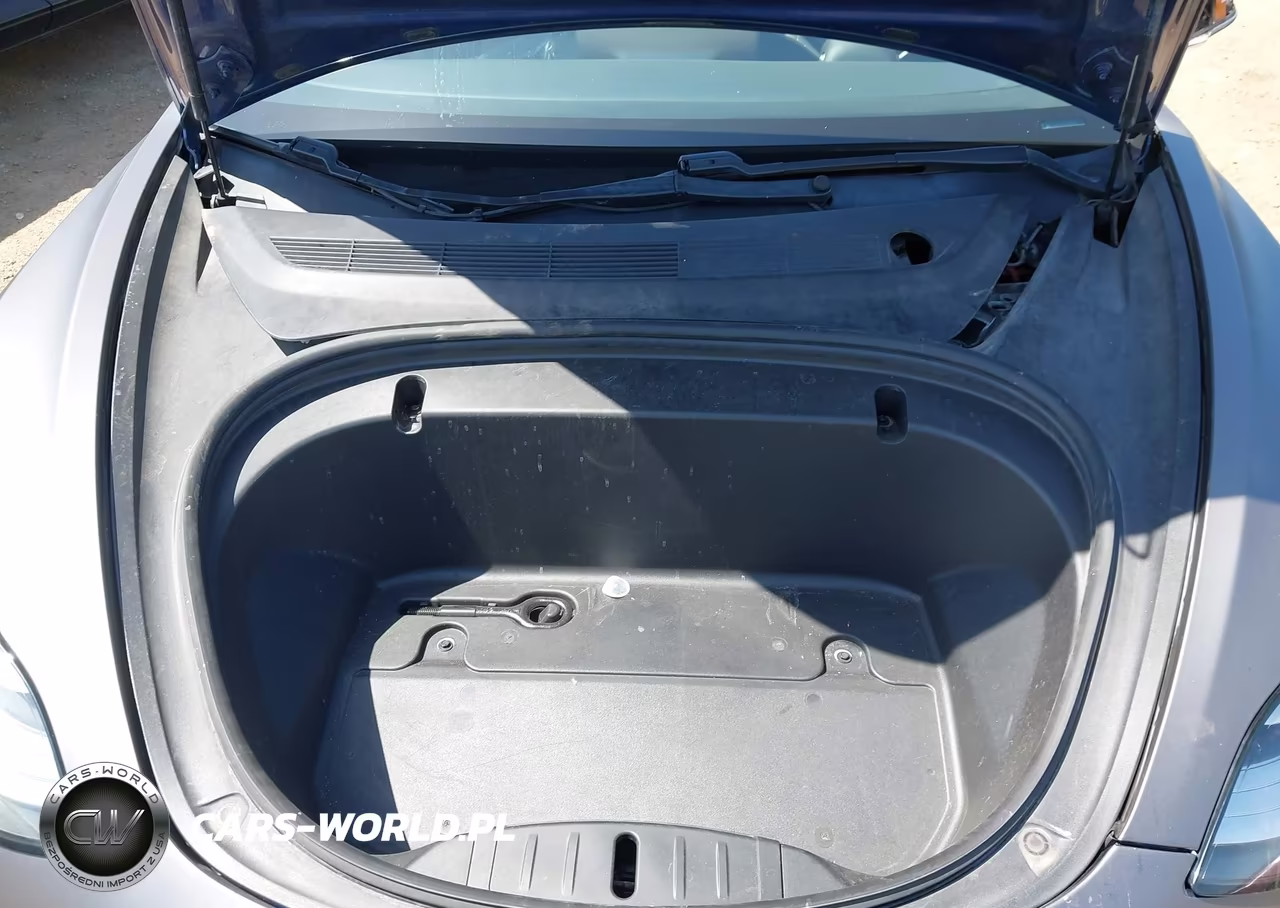 2020 Tesla Model 3 Standard Range Plus Rear-Wheel Drive-Standard Range Rear-Wheel Drive VIN:5YJ3E1EAXLF739761 - 10