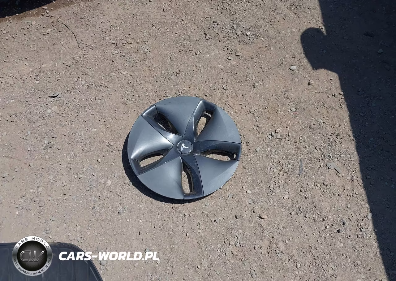 2020 Tesla Model 3 Standard Range Plus Rear-Wheel Drive-Standard Range Rear-Wheel Drive VIN:5YJ3E1EAXLF739761 - 11