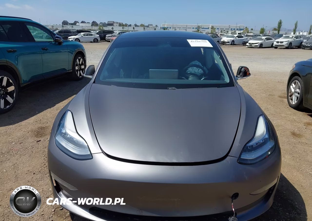 2020 Tesla Model 3 Standard Range Plus Rear-Wheel Drive-Standard Range Rear-Wheel Drive VIN:5YJ3E1EAXLF739761 - 12