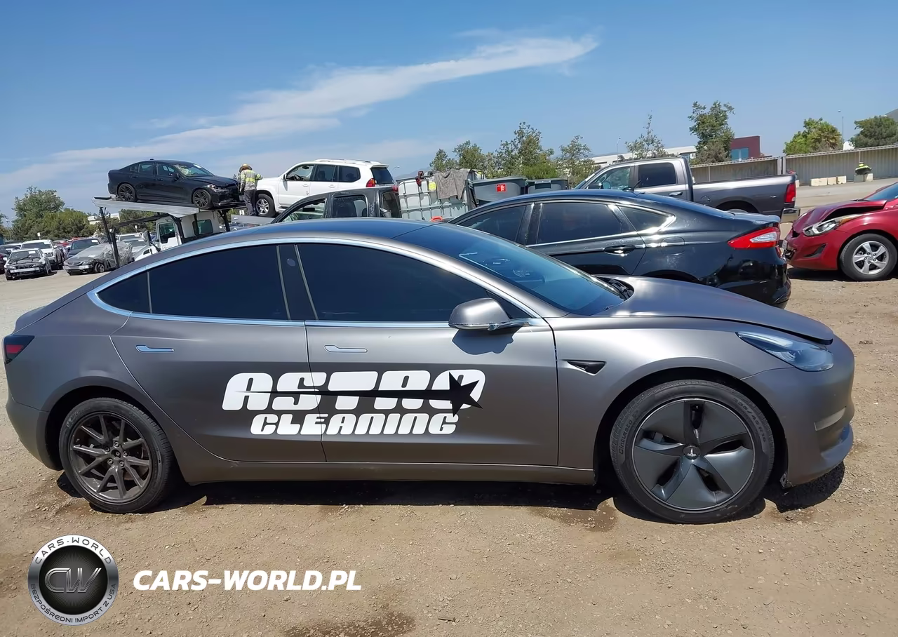 2020 Tesla Model 3 Standard Range Plus Rear-Wheel Drive-Standard Range Rear-Wheel Drive VIN:5YJ3E1EAXLF739761 - 13