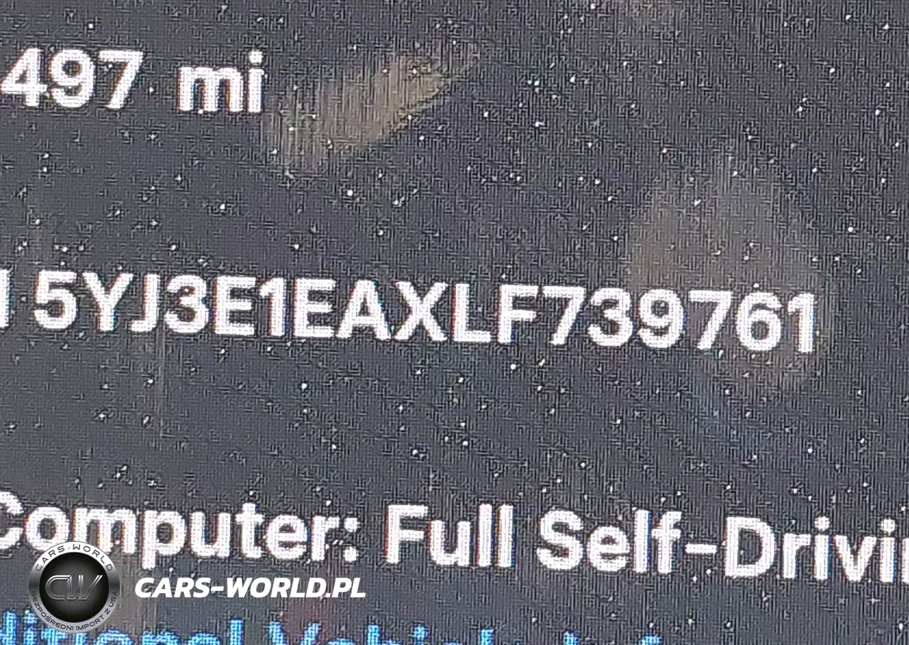 2020 Tesla Model 3 Standard Range Plus Rear-Wheel Drive-Standard Range Rear-Wheel Drive VIN:5YJ3E1EAXLF739761 - 9