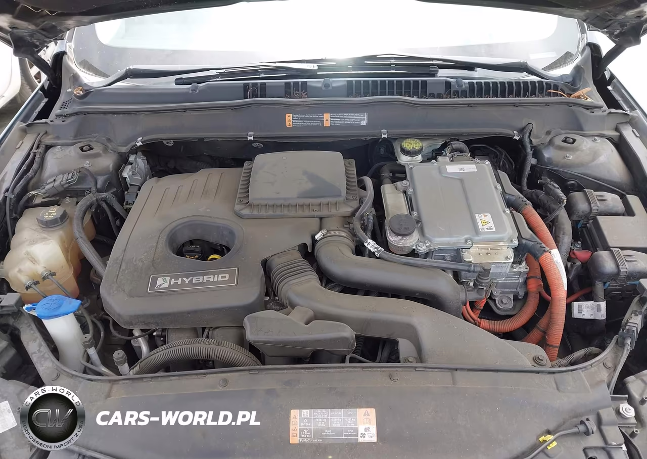 2016 Ford Fusion Hybrid Se VIN:3FA6P0LU4GR176781 - 10