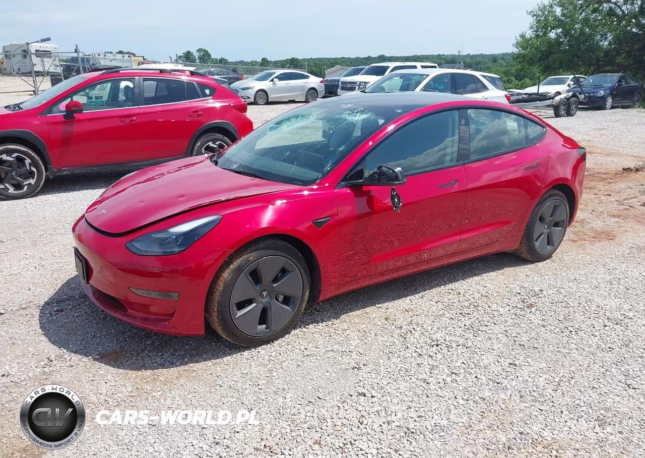 2023 Tesla Model 3 Rear-Wheel Drive VIN:5YJ3E1EA1PF605016 - 2
