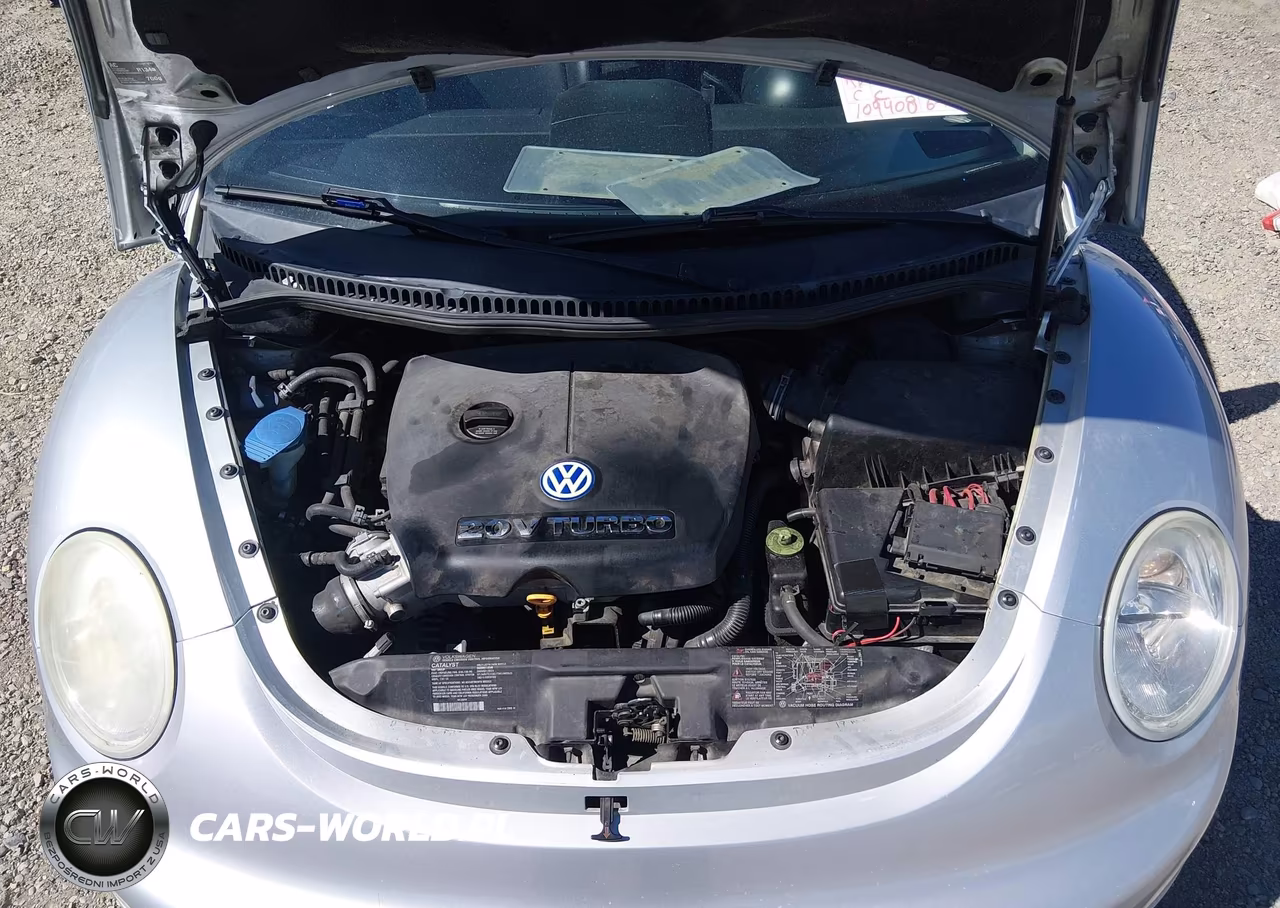 2002 Volkswagen New Beetle Glx VIN:3VWDD21C12M454698 - 10