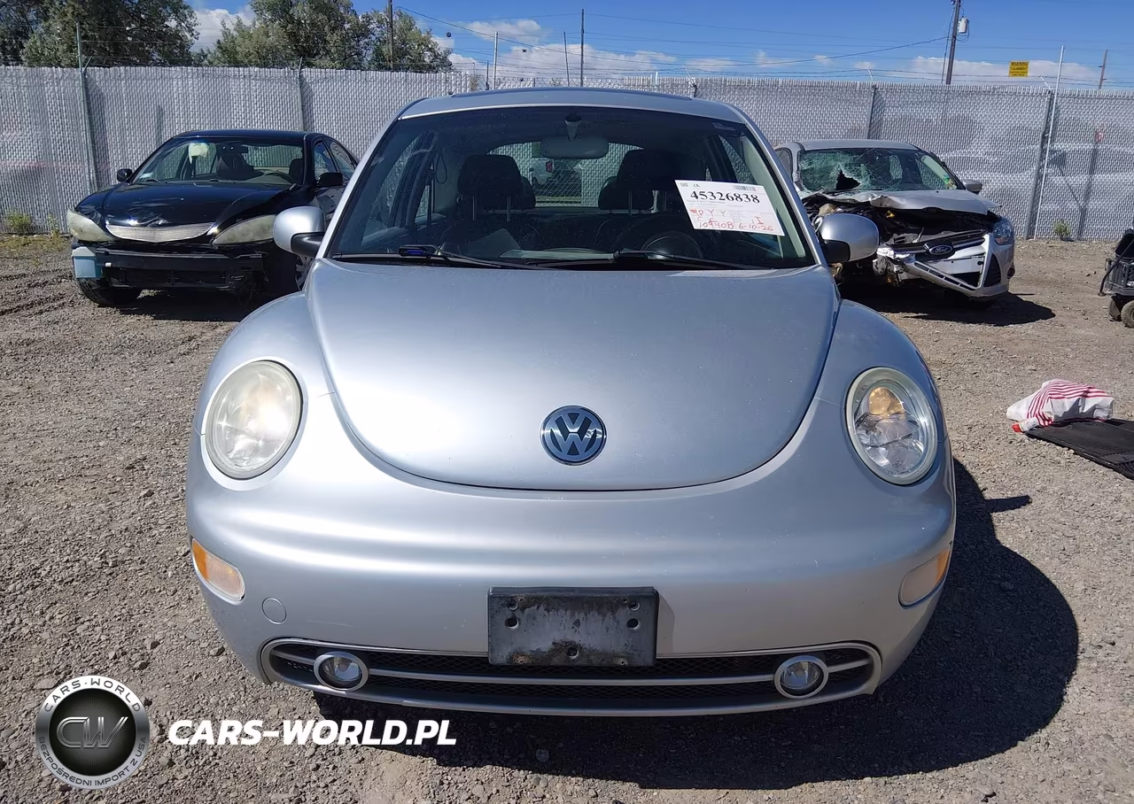 2002 Volkswagen New Beetle Glx VIN:3VWDD21C12M454698 - 12