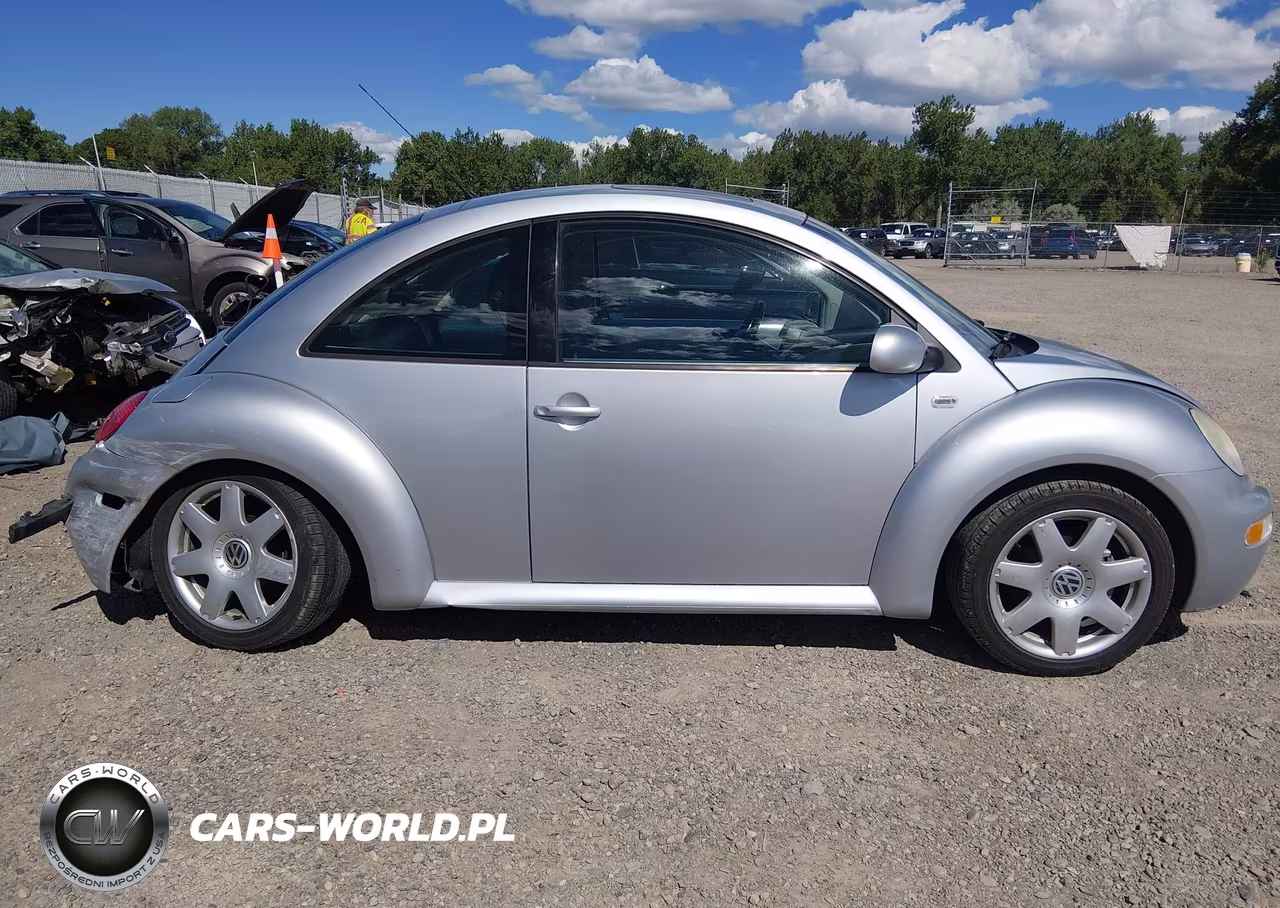 2002 Volkswagen New Beetle Glx VIN:3VWDD21C12M454698 - 13