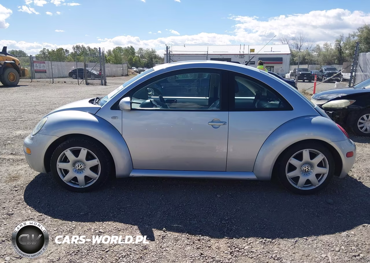 2002 Volkswagen New Beetle Glx VIN:3VWDD21C12M454698 - 14