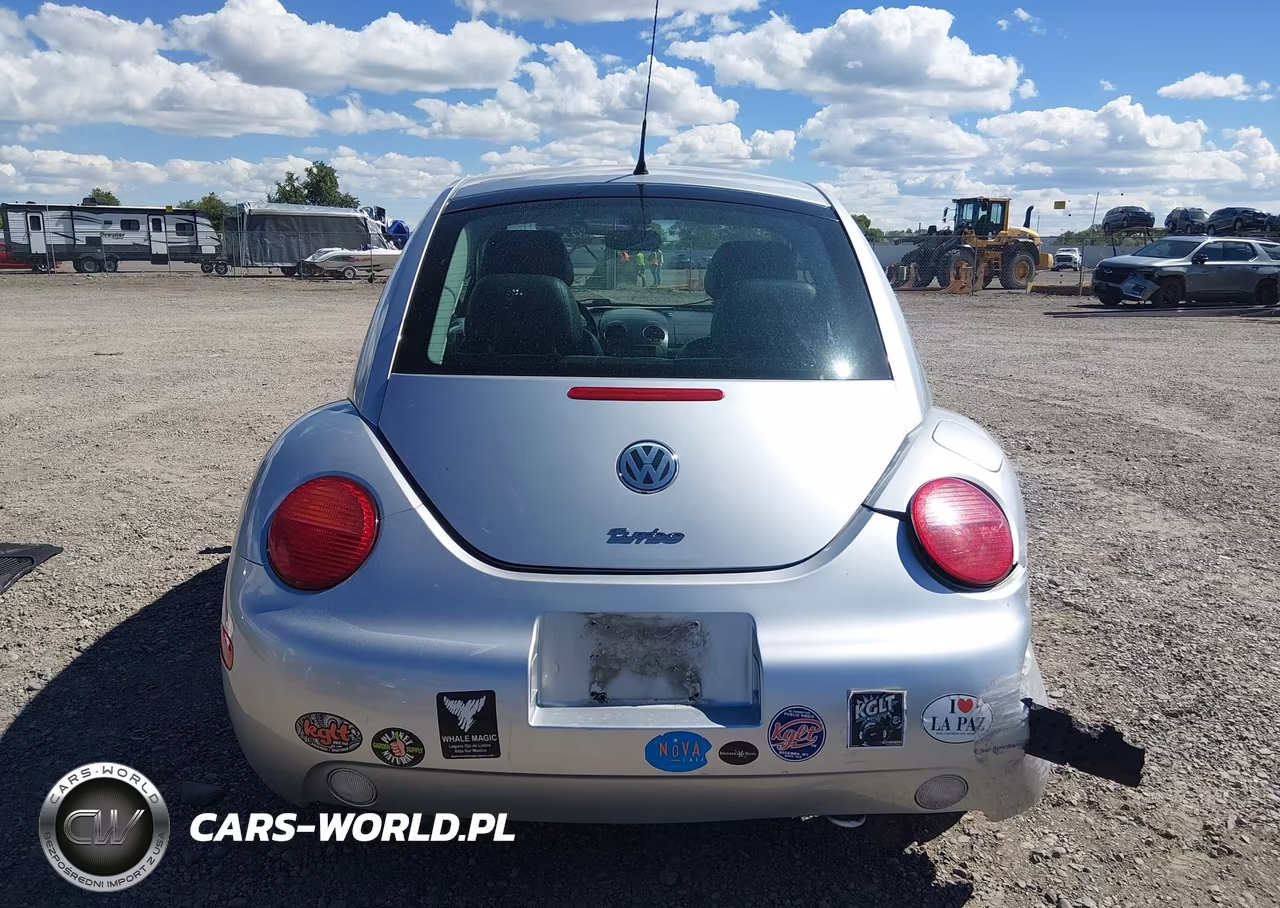 2002 Volkswagen New Beetle Glx VIN:3VWDD21C12M454698 - 16