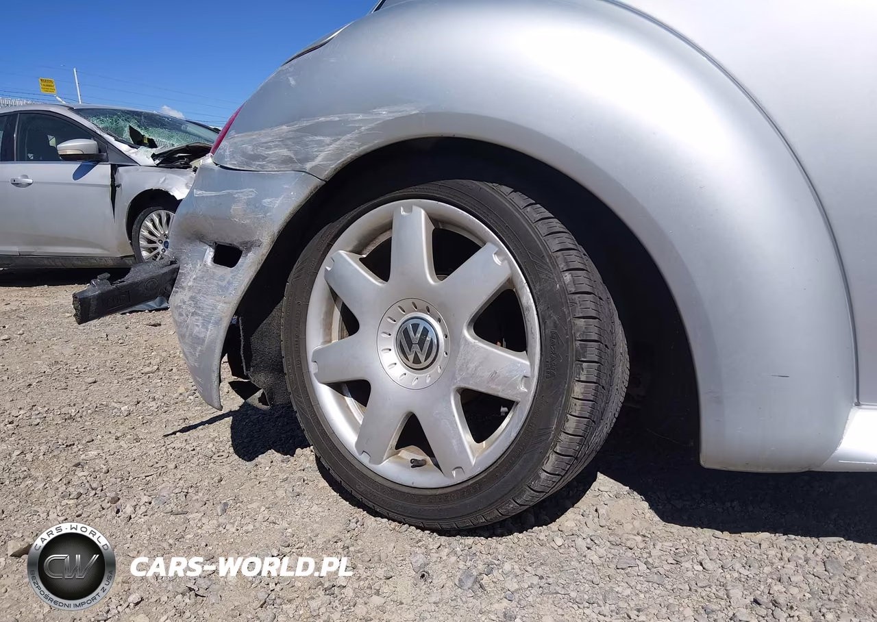 2002 Volkswagen New Beetle Glx VIN:3VWDD21C12M454698 - 17