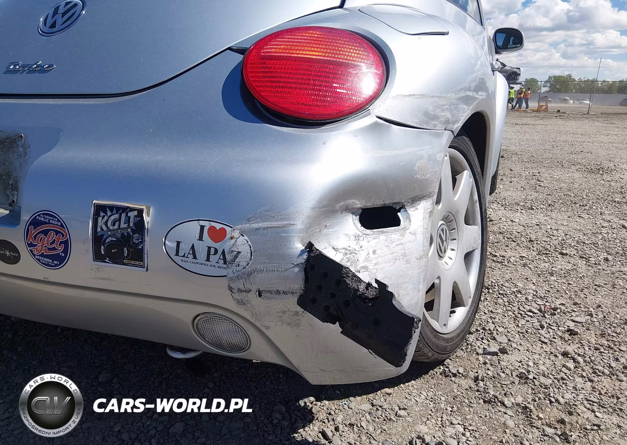 2002 Volkswagen New Beetle Glx VIN:3VWDD21C12M454698 - 18