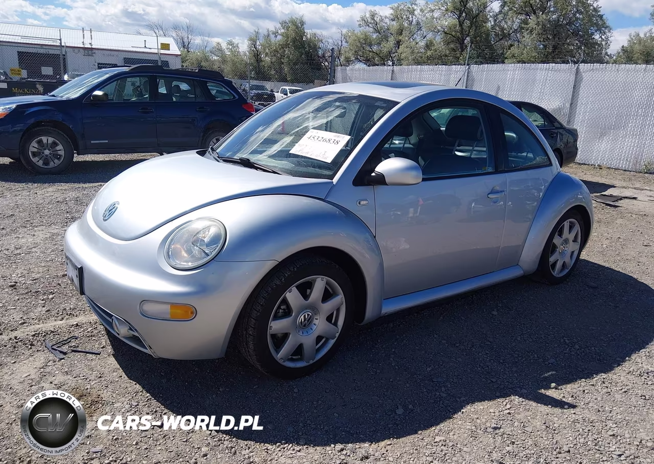 2002 Volkswagen New Beetle Glx VIN:3VWDD21C12M454698 - 2
