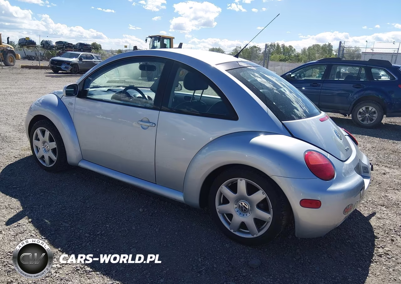 2002 Volkswagen New Beetle Glx VIN:3VWDD21C12M454698 - 3