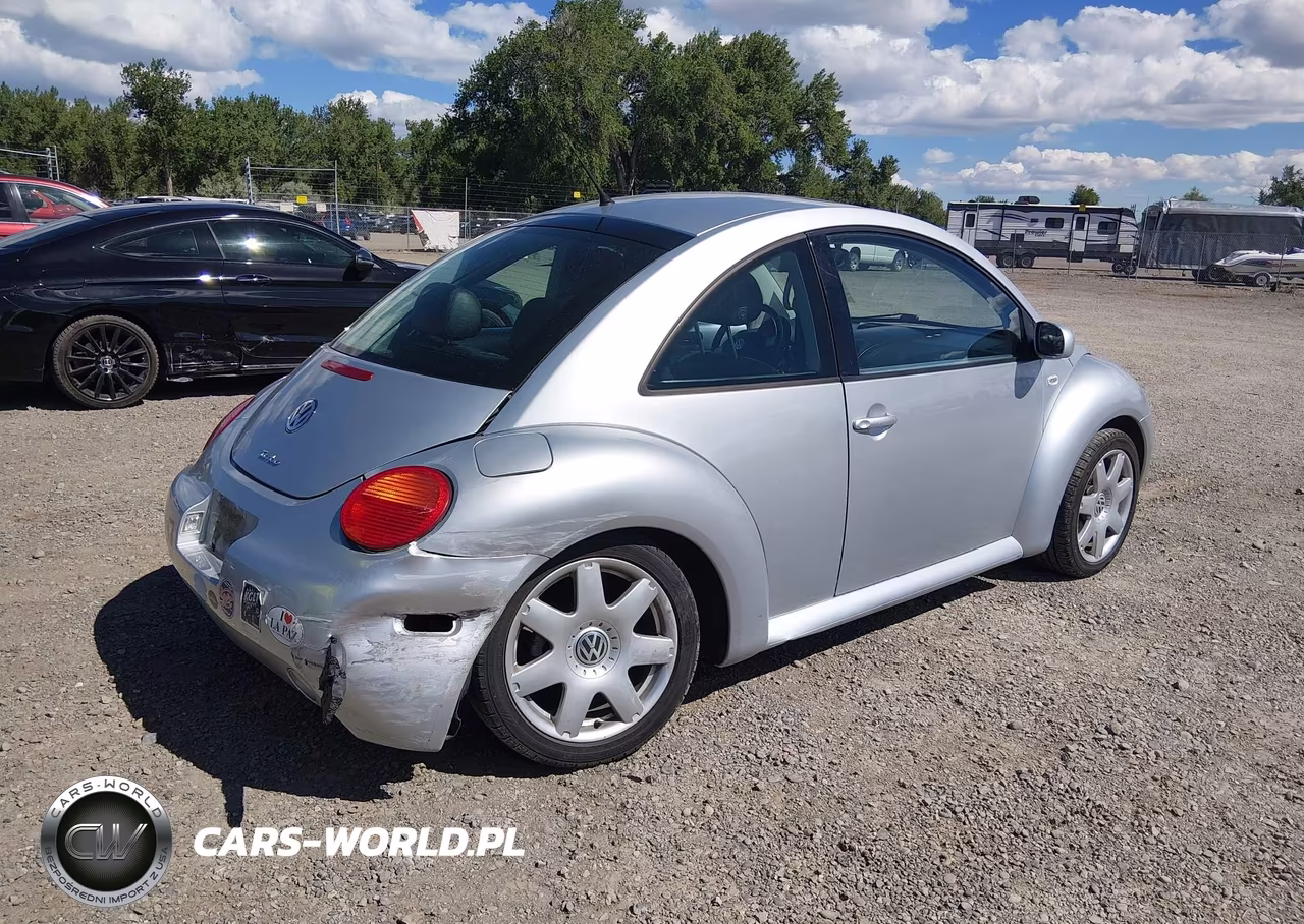 2002 Volkswagen New Beetle Glx VIN:3VWDD21C12M454698 - 4