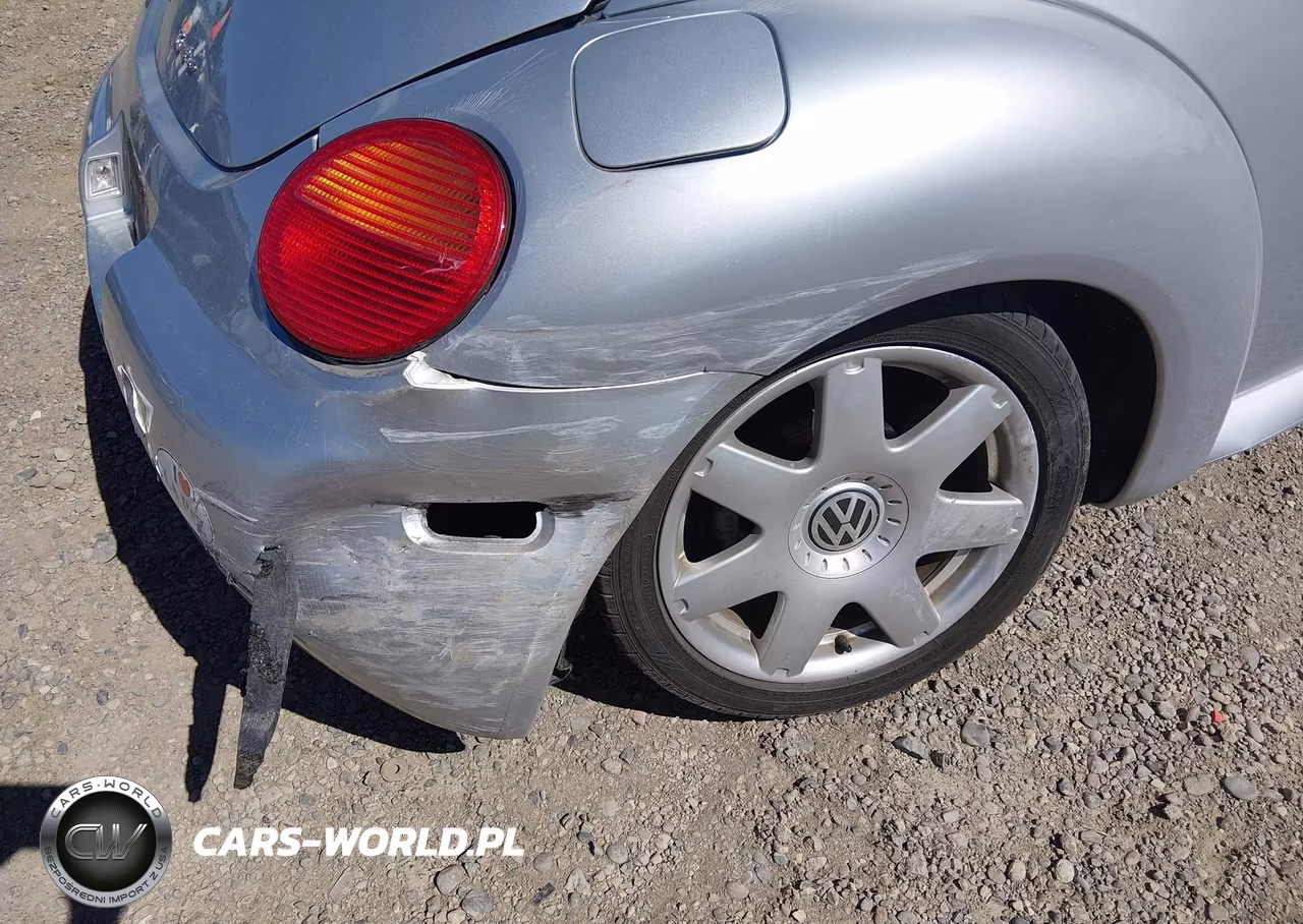 2002 Volkswagen New Beetle Glx VIN:3VWDD21C12M454698 - 6