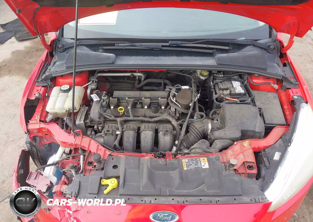 2016 Ford Focus Se VIN:1FADP3F27GL268307 - 10