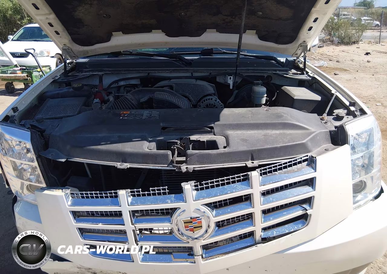 2013 Cadillac Escalade Luxury VIN:1GYS3BEF8DR270226 - 10