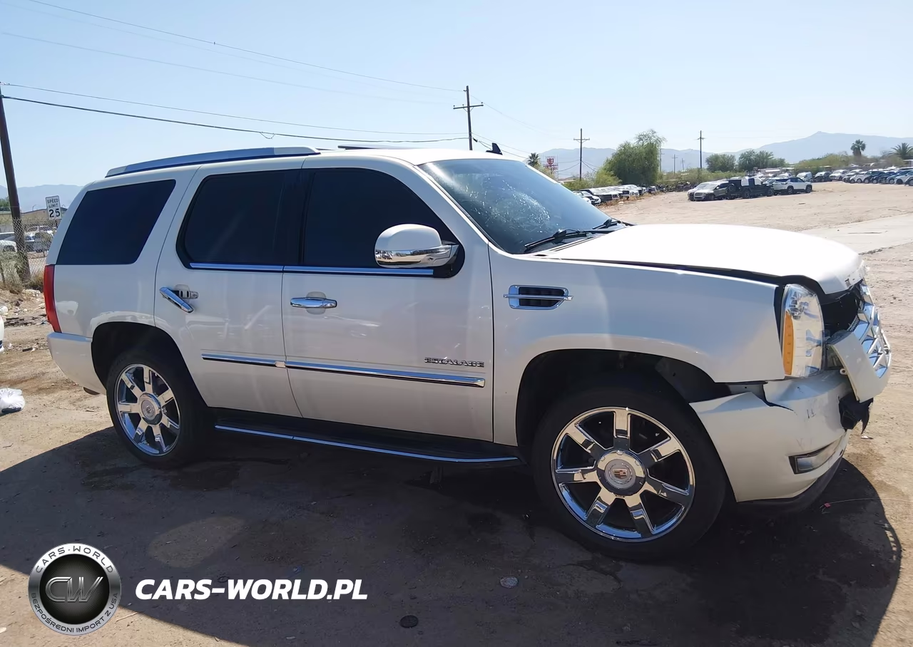 2013 Cadillac Escalade Luxury VIN:1GYS3BEF8DR270226 - 12