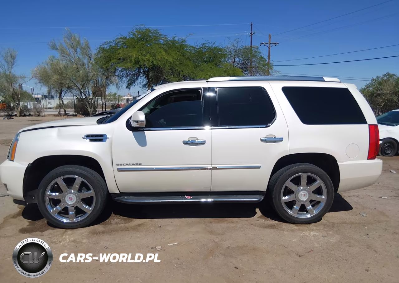 2013 Cadillac Escalade Luxury VIN:1GYS3BEF8DR270226 - 13
