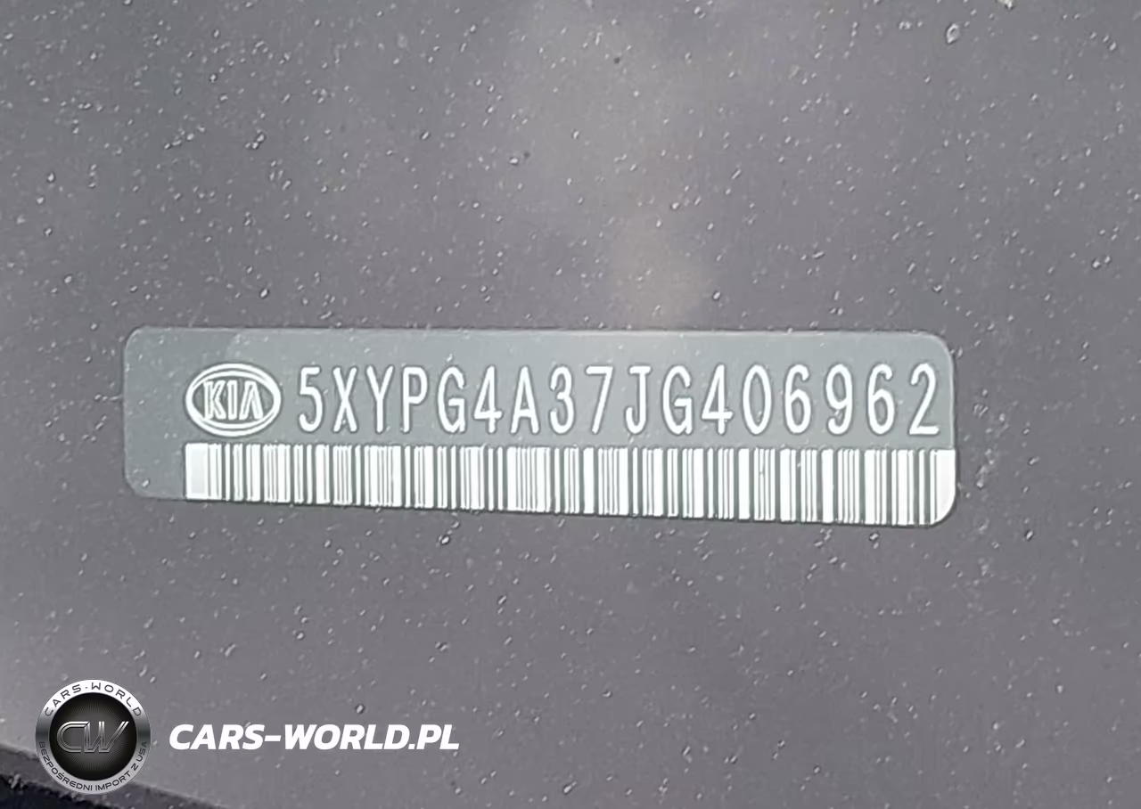 2018 Kia Sorento 2.4L Lx VIN:5XYPG4A37JG406962 - 9