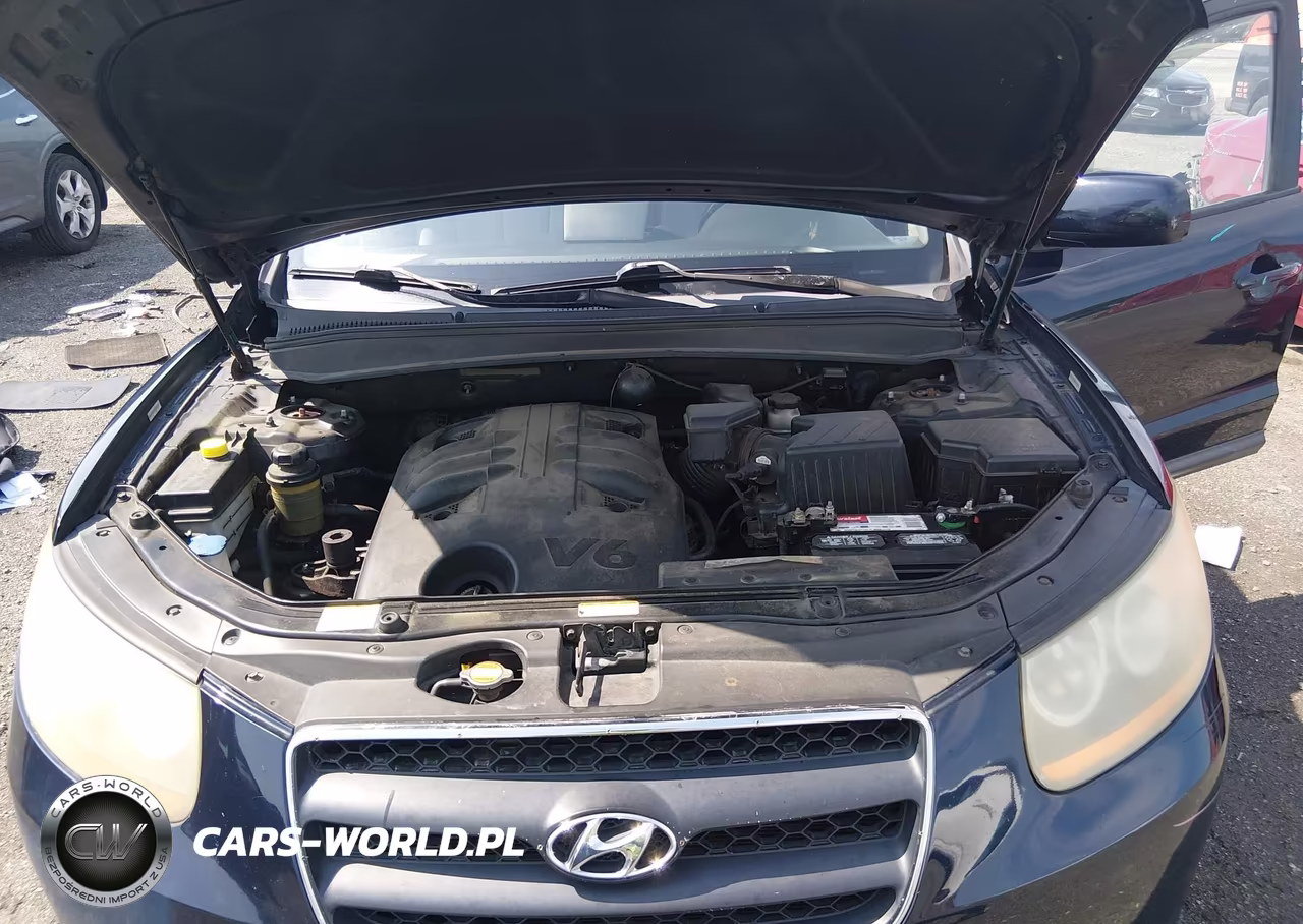 2008 Hyundai Santa Fe Limited-Se VIN:5NMSH73E48H166342 - 10