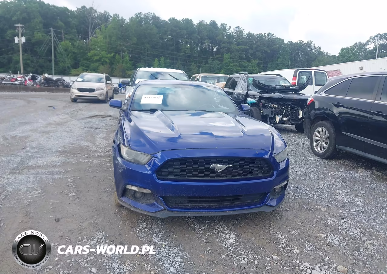 2016 Ford Mustang V6 VIN:1FA6P8AM6G5204780 - 12