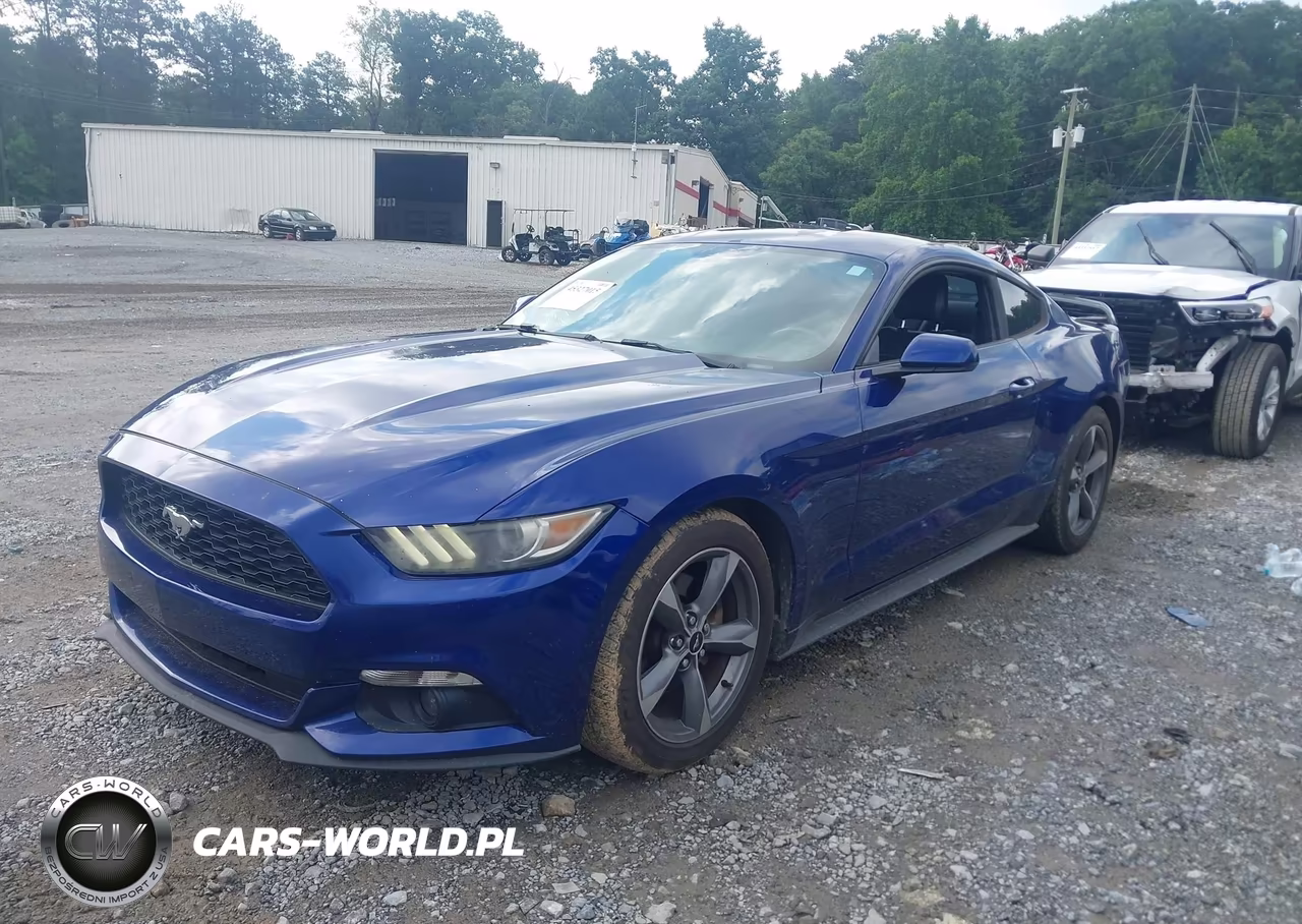 2016 Ford Mustang V6 VIN:1FA6P8AM6G5204780 - 14