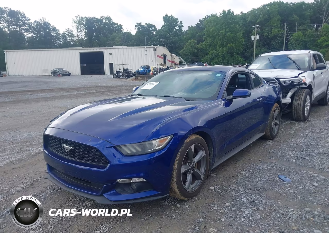 2016 Ford Mustang V6 VIN:1FA6P8AM6G5204780 - 2