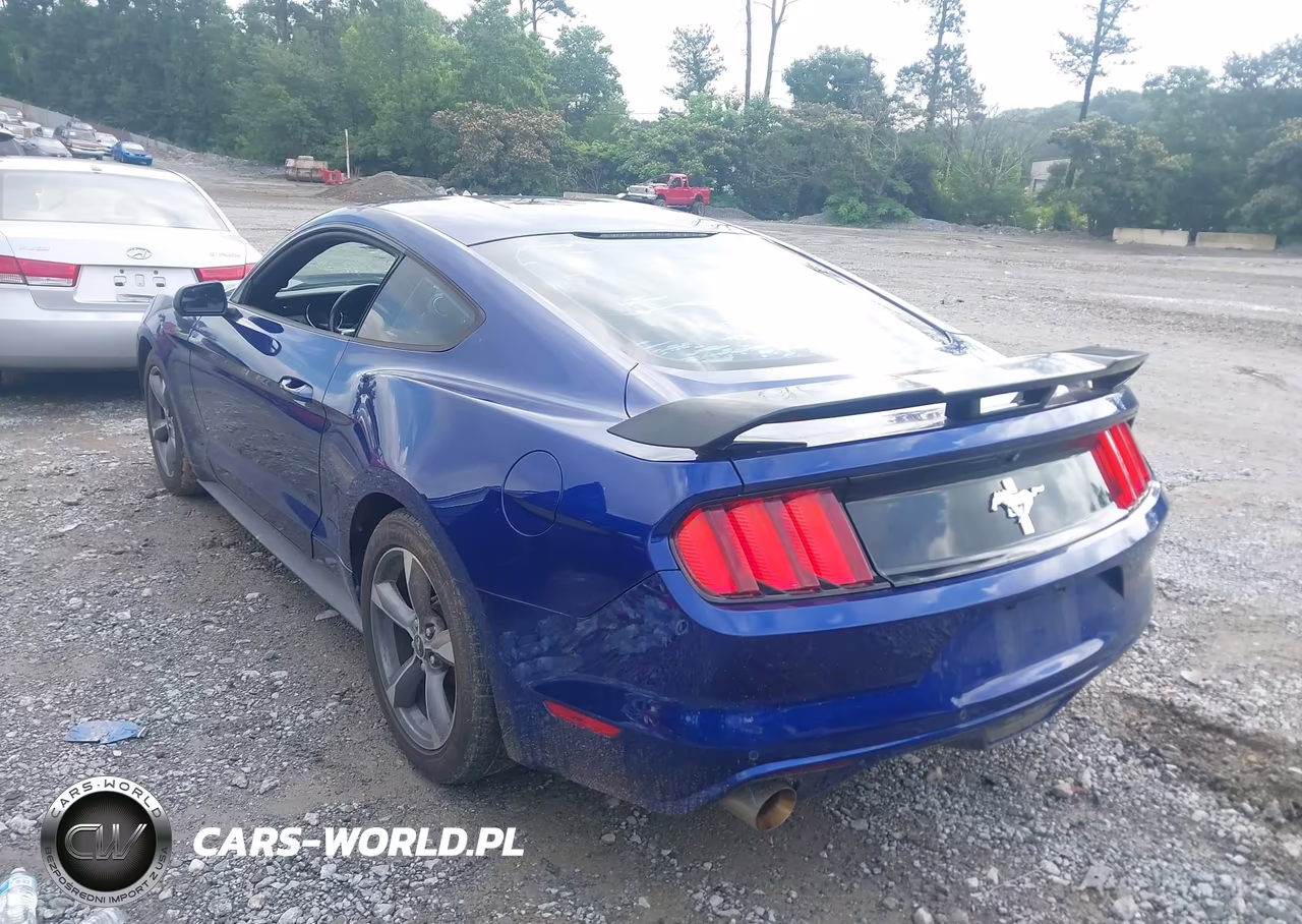 2016 Ford Mustang V6 VIN:1FA6P8AM6G5204780 - 3