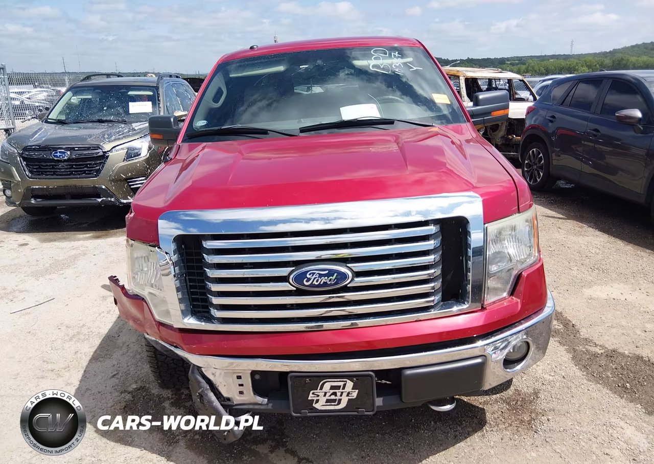 2010 Ford F-150 Fx4-Harley-Davidson-King Ranch-Lariat-Platinum-Xl-Xlt VIN:1FTFW1EV9AKB47930 - 12