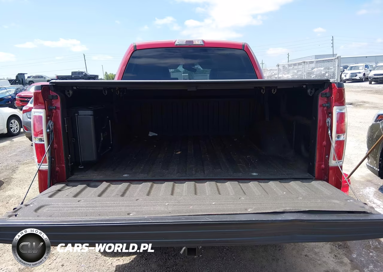 2010 Ford F-150 Fx4-Harley-Davidson-King Ranch-Lariat-Platinum-Xl-Xlt VIN:1FTFW1EV9AKB47930 - 16