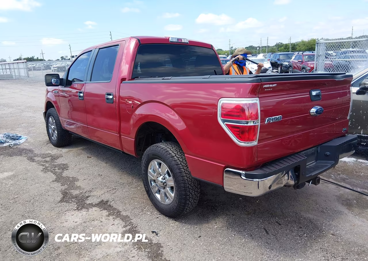 2010 Ford F-150 Fx4-Harley-Davidson-King Ranch-Lariat-Platinum-Xl-Xlt VIN:1FTFW1EV9AKB47930 - 3