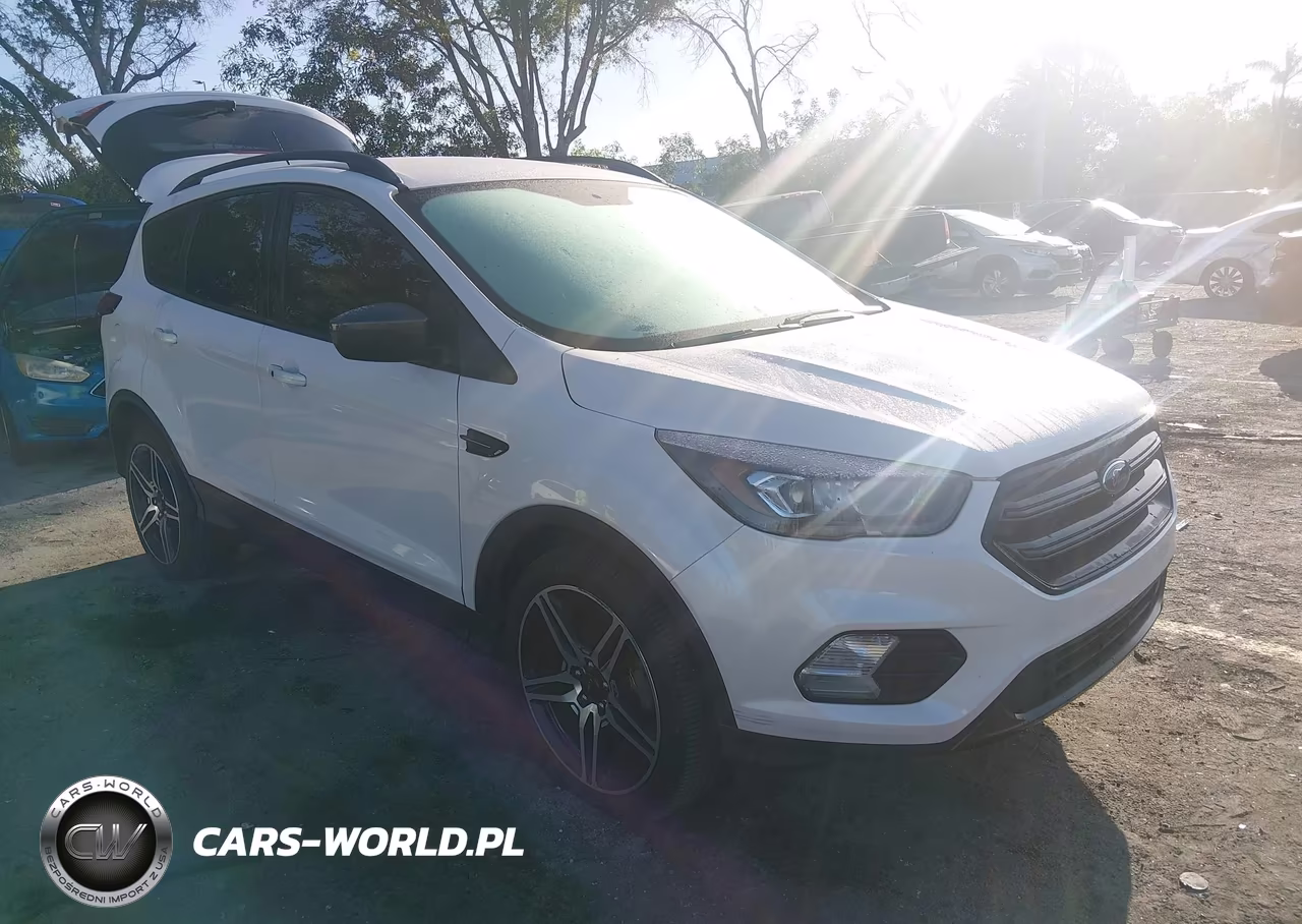 2019 Ford Escape Sel