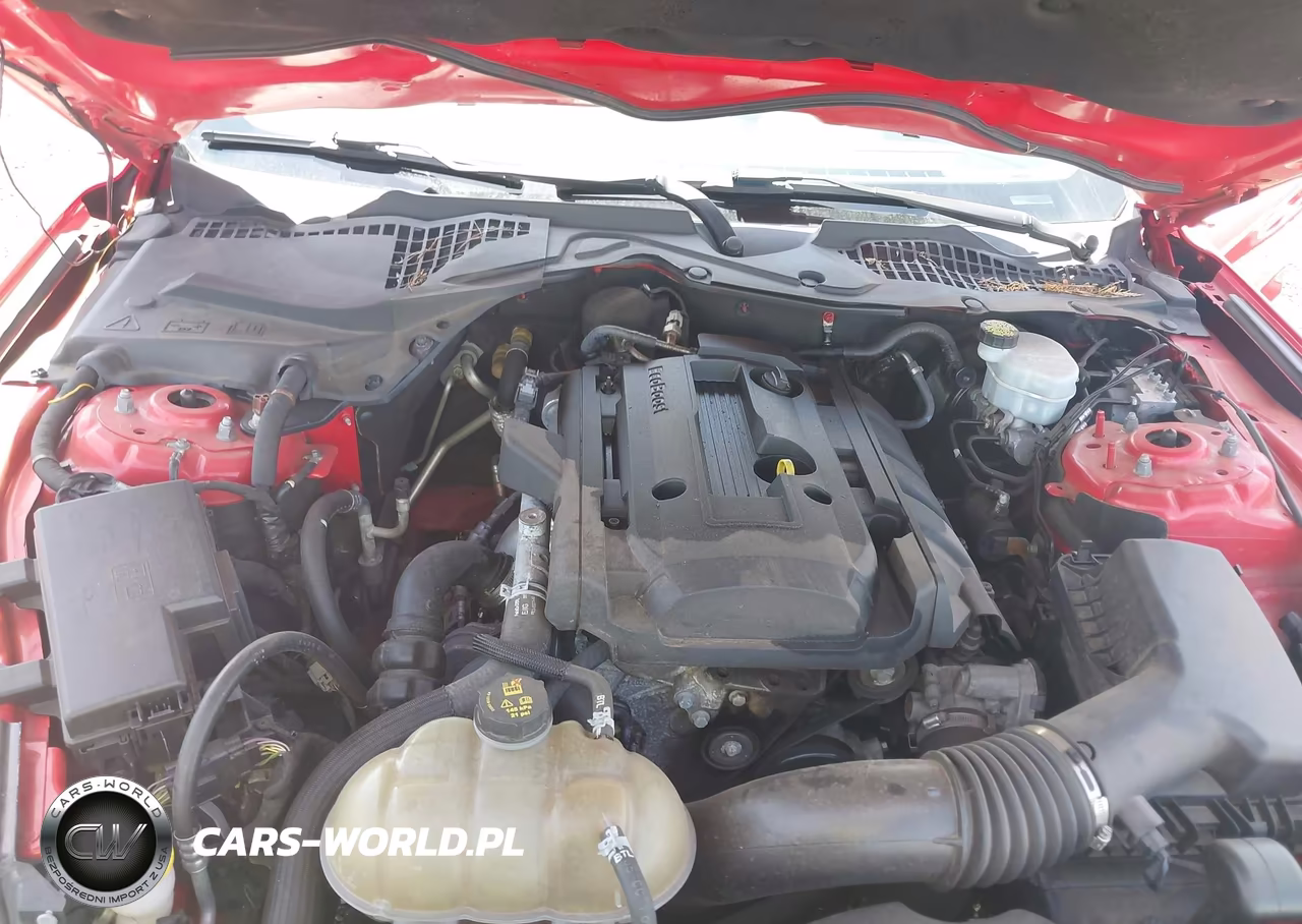 2017 Ford Mustang Ecoboost VIN:1FA6P8TH8H5303523 - 10
