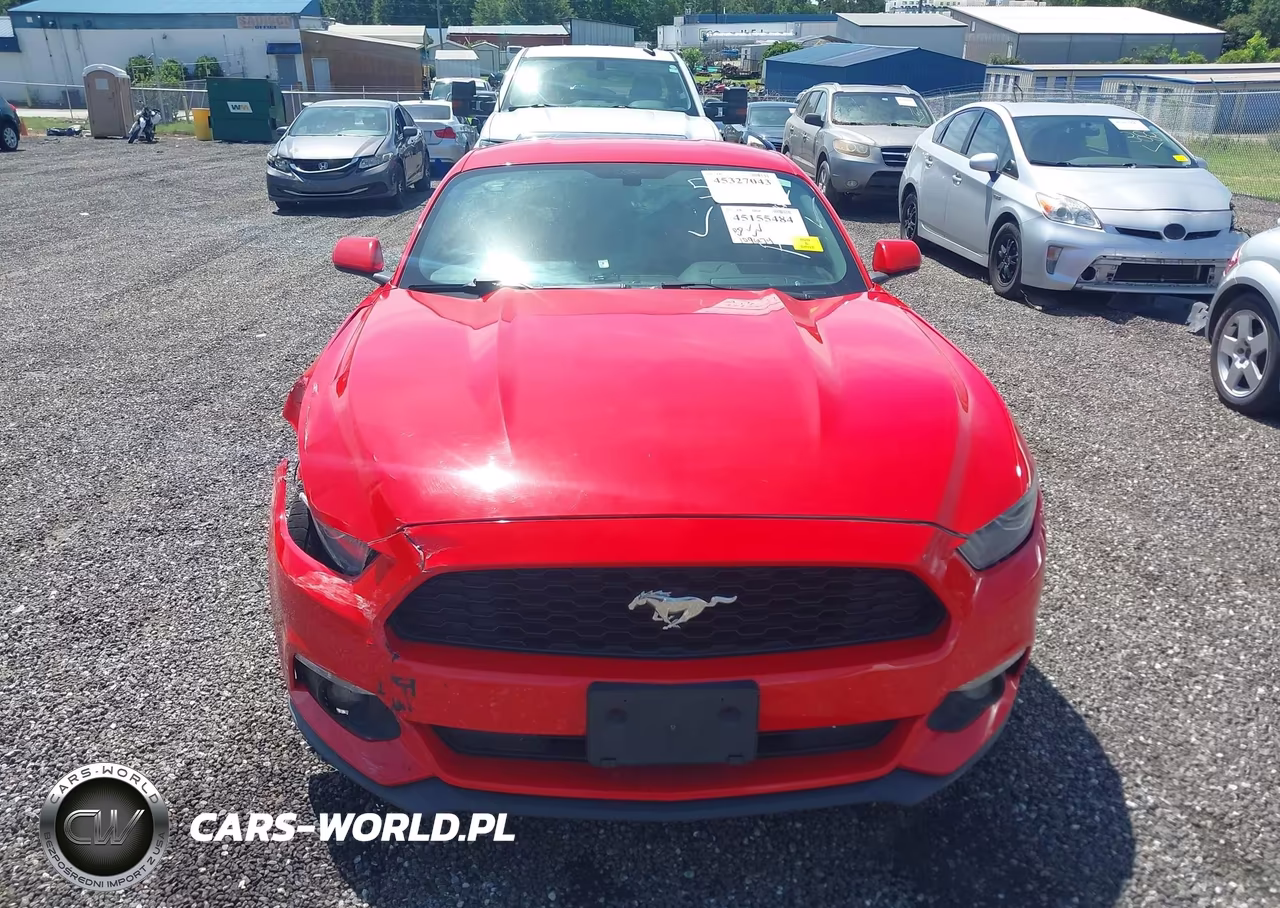 2017 Ford Mustang Ecoboost VIN:1FA6P8TH8H5303523 - 12
