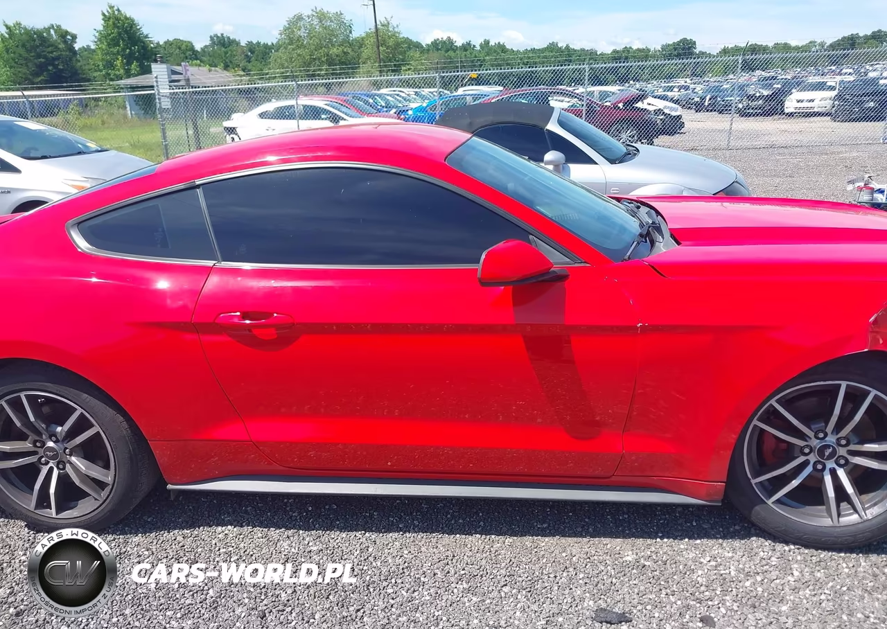 2017 Ford Mustang Ecoboost VIN:1FA6P8TH8H5303523 - 13