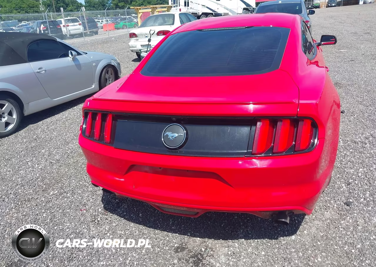 2017 Ford Mustang Ecoboost VIN:1FA6P8TH8H5303523 - 16