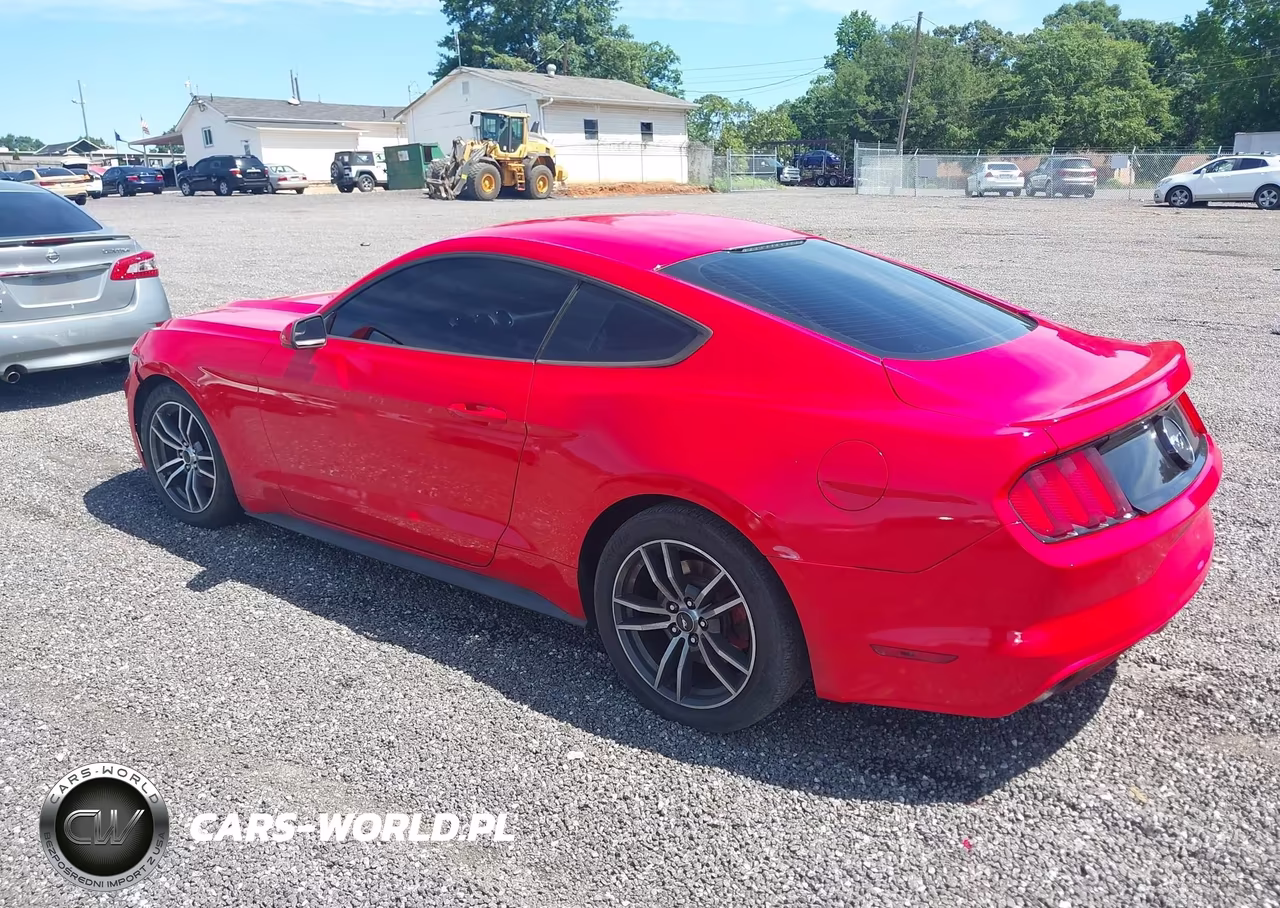 2017 Ford Mustang Ecoboost VIN:1FA6P8TH8H5303523 - 3