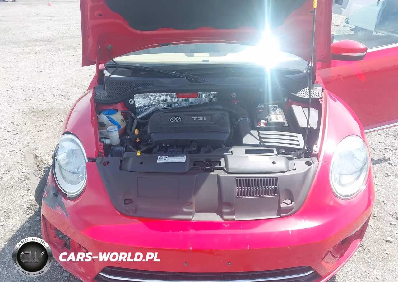 2017 Volkswagen Beetle #Pinkbeetle-1.8T Classic-1.8T S-1.8T Se-1.8T Sel VIN:3VW517AT3HM805940 - 10