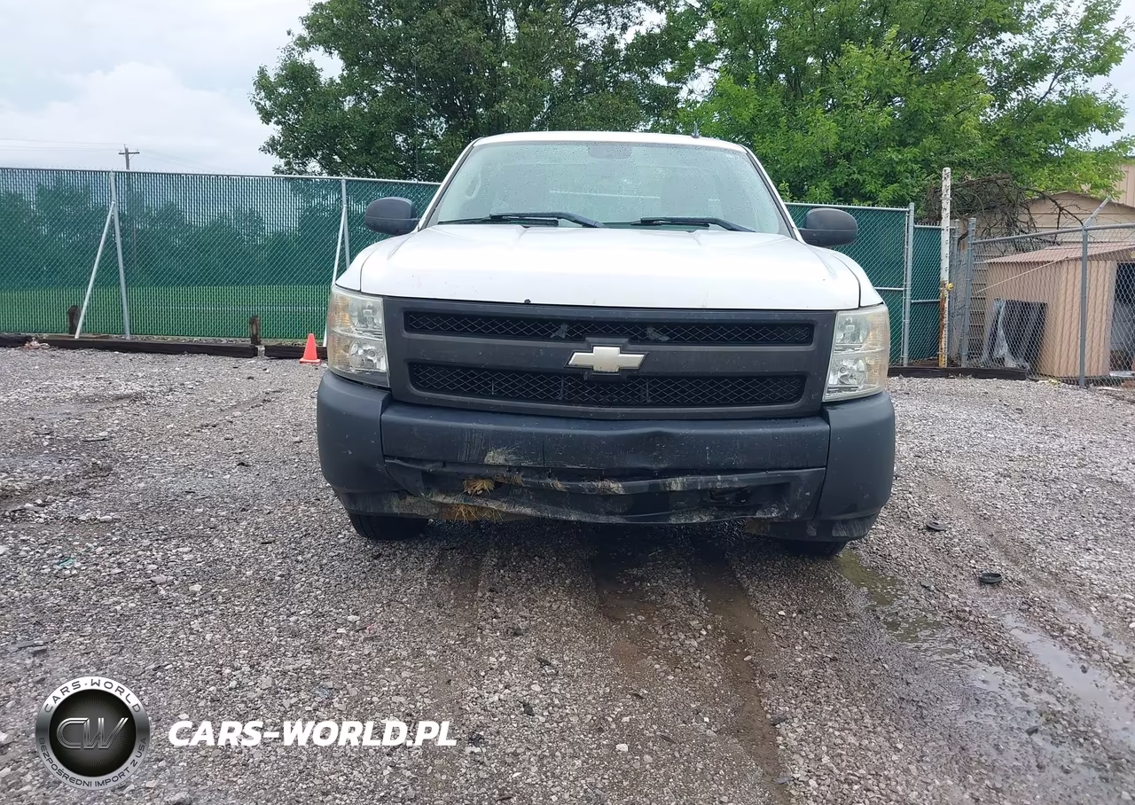 2008 Chevrolet Silverado 1500 Work Truck VIN:1GCEC14X88Z113244 - 6