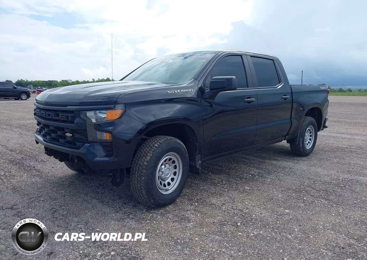 2023 Chevrolet Silverado 1500 VIN:3GCUDAED4PG204183 - 2