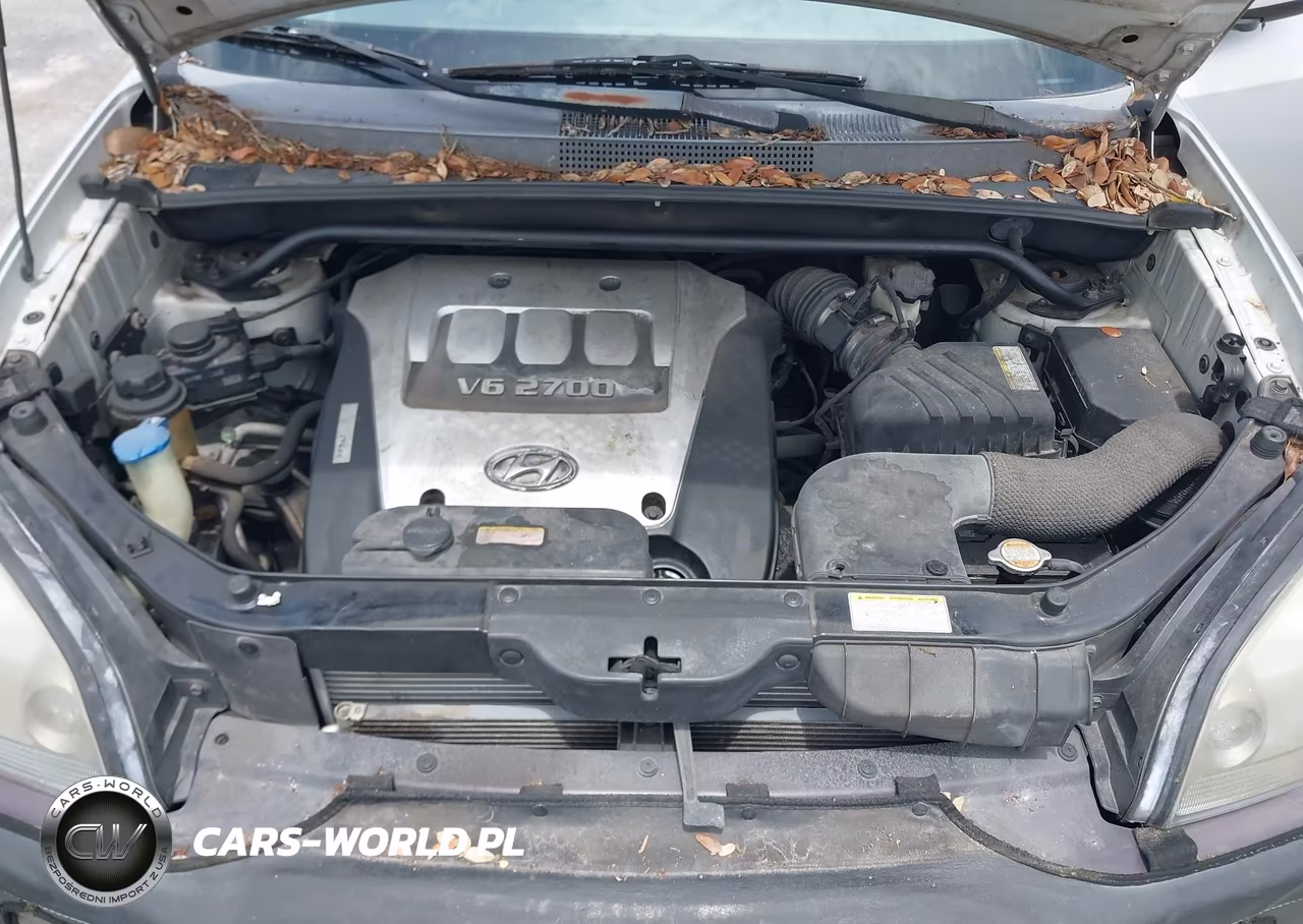 2005 Hyundai Tucson Gls-Lx VIN:KM8JN12D55U192944 - 10