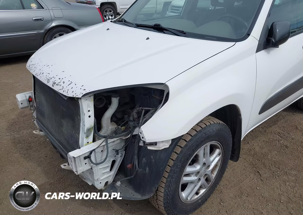 2003 Toyota Rav4 VIN:JTEHH20V530223248 - 18