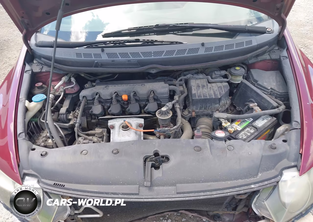 2009 Honda Civic Lx VIN:19XFA16519E014607 - 10