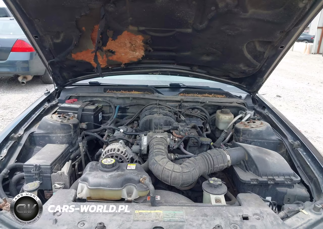 2007 Ford Mustang V6 Deluxe-V6 Premium VIN:1ZVFT80NX75255860 - 10