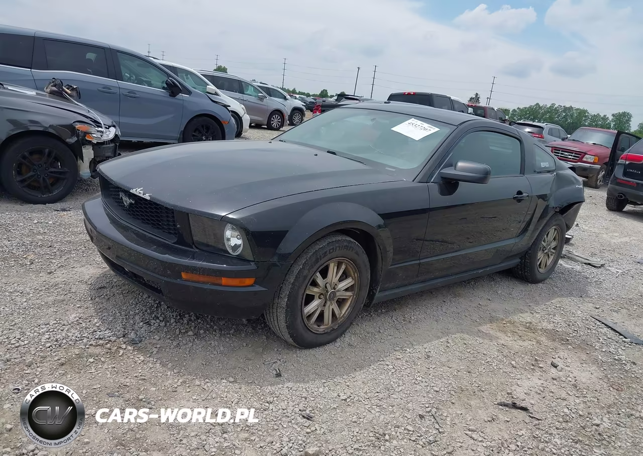 2007 Ford Mustang V6 Deluxe-V6 Premium VIN:1ZVFT80NX75255860 - 2