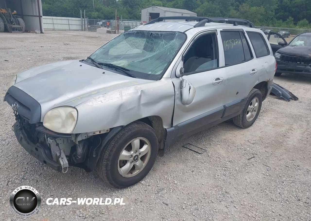 2005 Hyundai Santa Fe Gls-Lx VIN:KM8SC13E65U935953 - 2